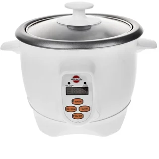 پلوپز مولتی کوکر 2 نفره مدل تفتان 61